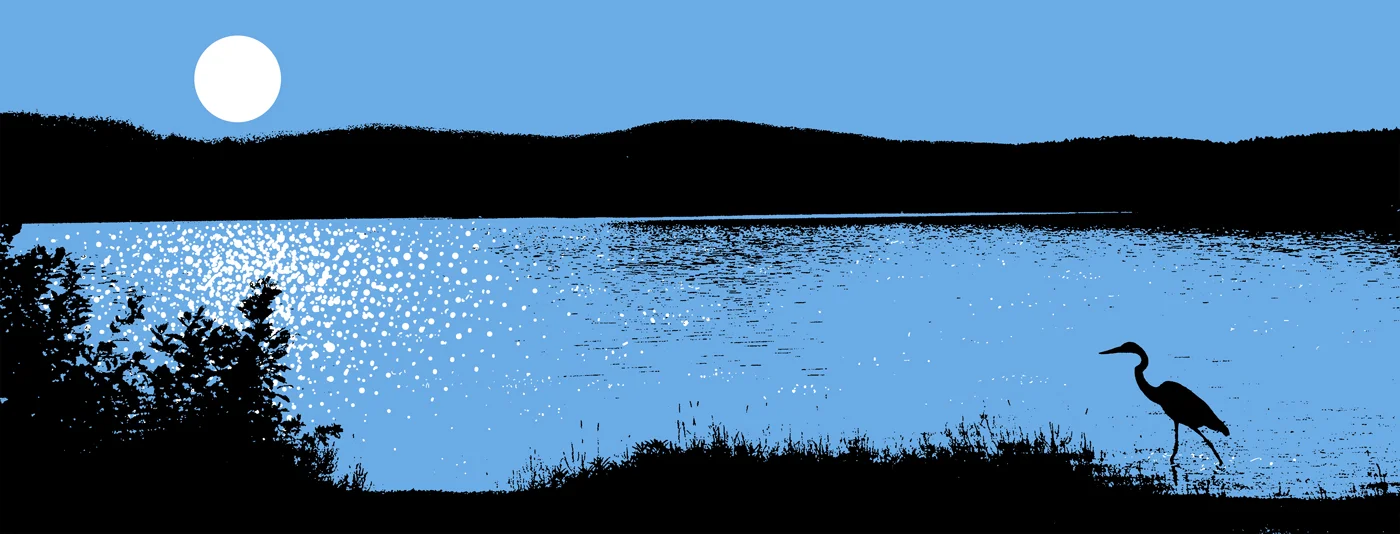 New Hampshire Heron in the Moonlight