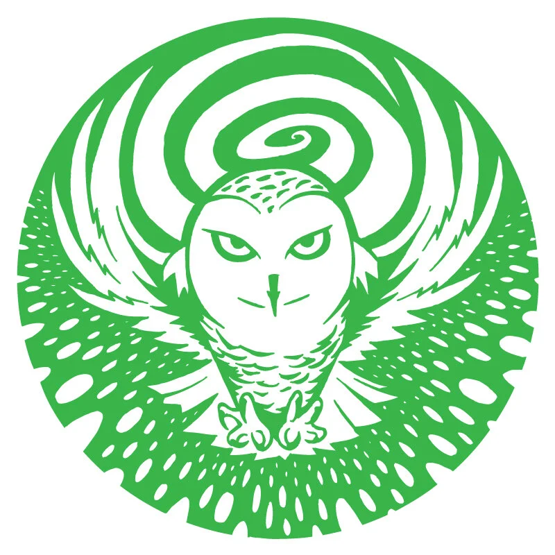 arctic-owl.jpg