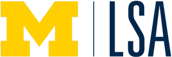 lsa-logo.png